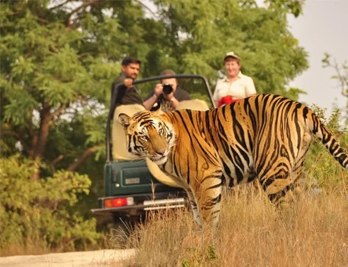 Rajasthan Wildlife Tour Packages